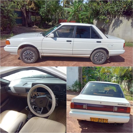 Nissan Sunny Trad 1990 Car for sale Ja-Ela Gampaha